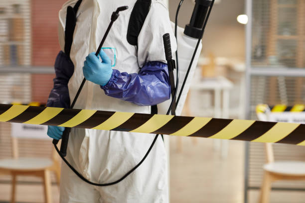 Professional Sewage Cleanup technician working in Santa Rosa, CA